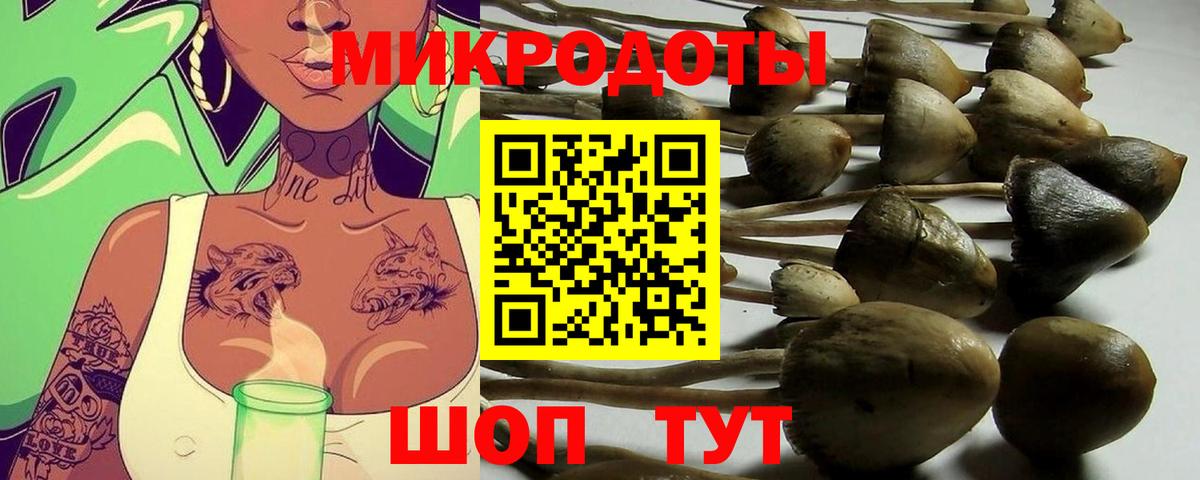 Галлюциногенные грибы Cubensis  Вход с VPN  Ейск 